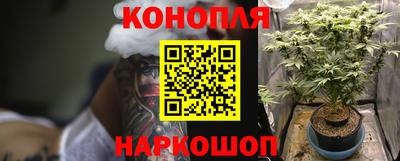 ПСИЛОЦИБИНОВЫЕ ГРИБЫ Рыбинск