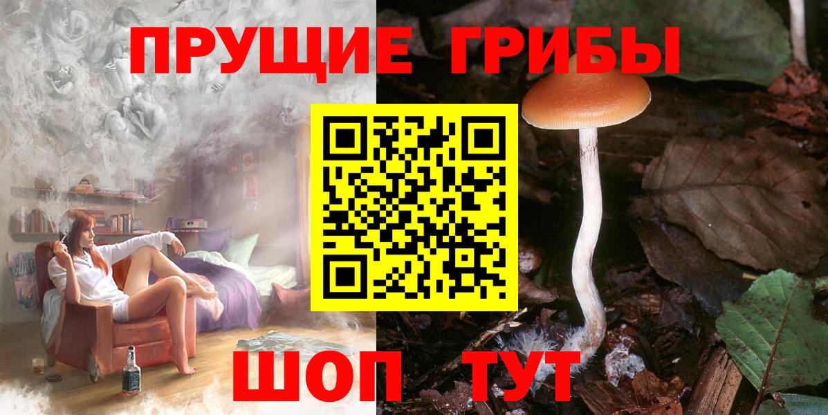 Сосновый Бор  Галлюциногенные грибы Psilocybine cubensis  Галлюциногенные грибы ЛСД  Вход с VPN 