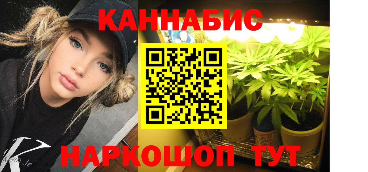 Конопля семена  Вход с VPN  Бошки марихуана White Widow  Сосновый Бор  Конопля семена  МАРИХУАНА тримм 
